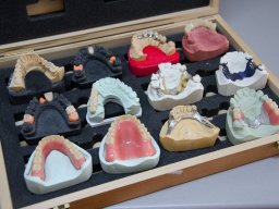 Ceglédi laboratórium